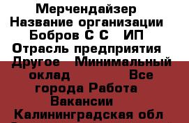Мерчендайзер › Название организации ­ Бобров С.С., ИП › Отрасль предприятия ­ Другое › Минимальный оклад ­ 17 000 - Все города Работа » Вакансии   . Калининградская обл.,Светловский городской округ 